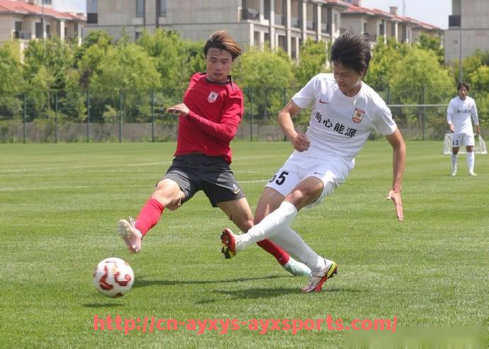 爱游戏体育-英超球员国籍限制及政策解读