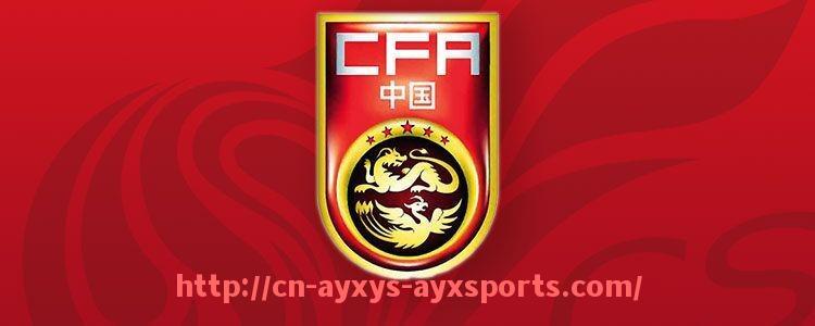 爱游戏体育-世俱杯各球队官方球迷组织介绍及其运营机制