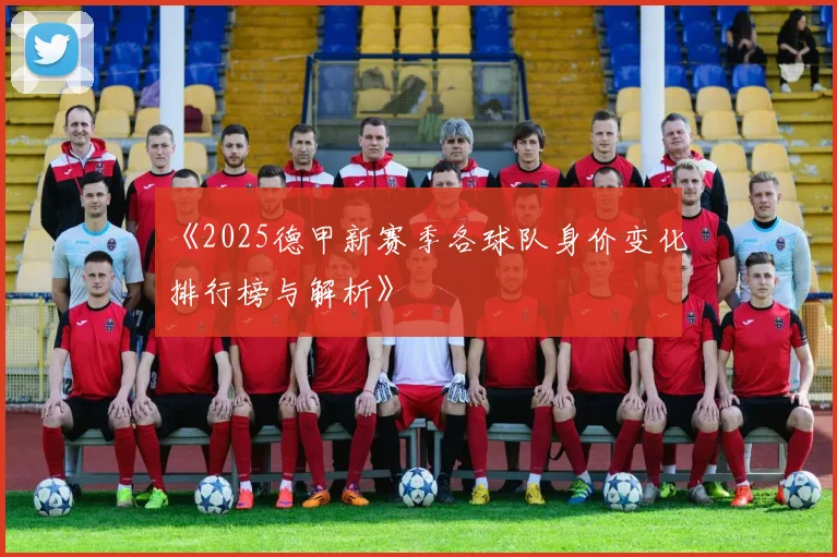 《2025德甲新赛季各球队身价变化排行榜与解析》